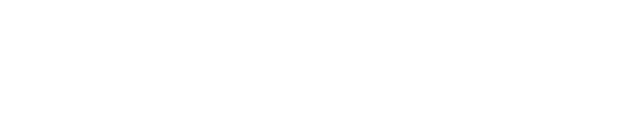 Wycash 1200
