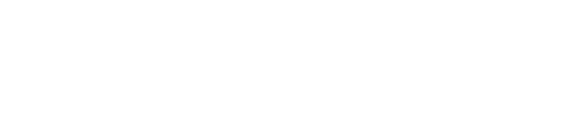 Wycash 300