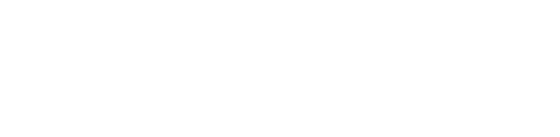 Wycash 800