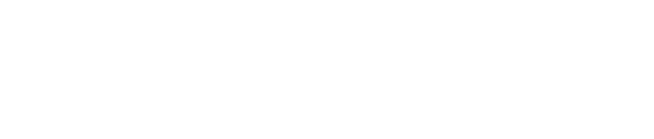 Wykiosk 1100